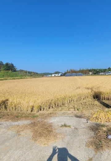 경언 (@jp3uoeh3lk) — my photo № 4