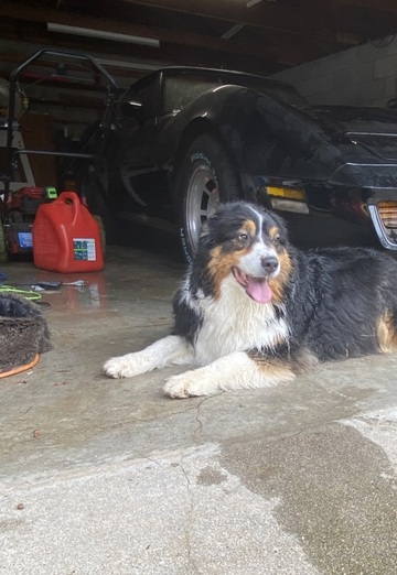 Clayton Cassady (@claytoncassady) — my photo № 3