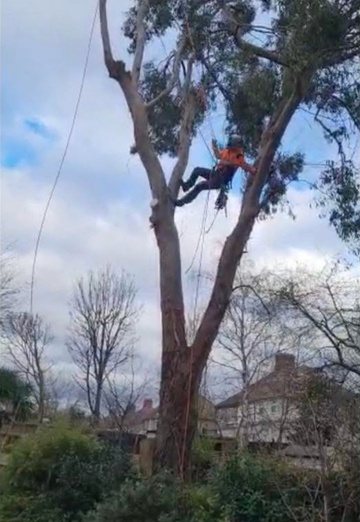 Aaron (@aaron981) — my photo № 5