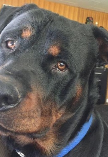 Don (@don3625) — my photo № 2