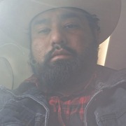 Vicente 31 Dallas