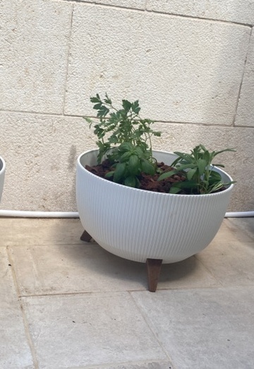 Justin (@gil115) — my photo № 1