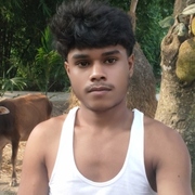 Baitulla 20 Jorhat, Assam