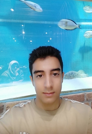 My photo - سیدعلیرضا, 19 from Shiraz (@7pc2xezquv)
