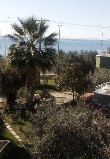 Secom+ (@secom) — my photo № 7