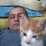 shkip set 39 Toronto