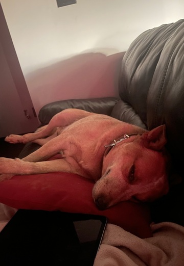 Jason badley (@jasonbadley) — my photo № 1