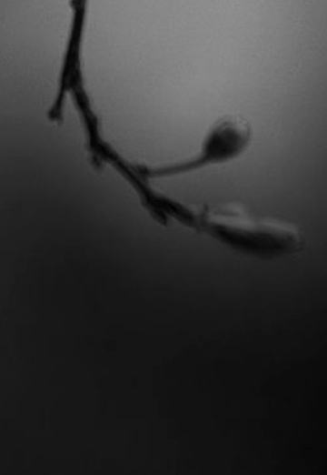 Kenan (@kenan2082) — my photo № 1