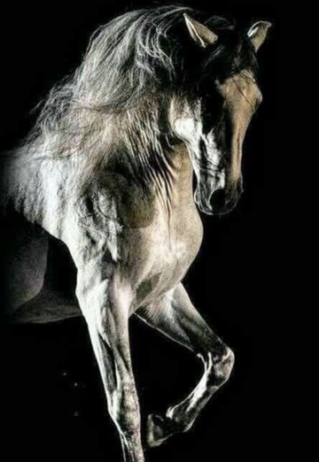 Ali (@ali81098) — my photo № 1