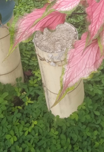 DAVID ARGUMEDO VERONA (@davidargumedoverona) — my photo № 2