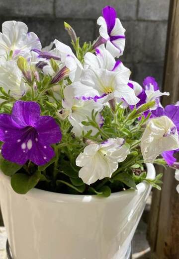 James wong (@jameswong6) — my photo № 1